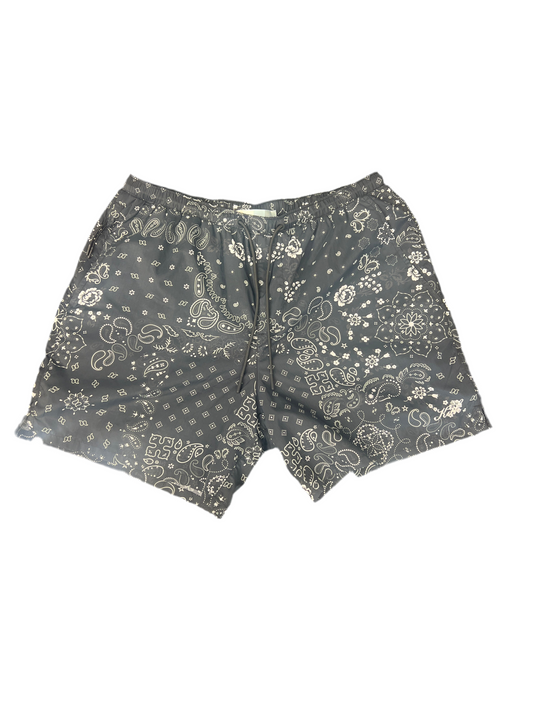 Kith Bandana Nylon Short