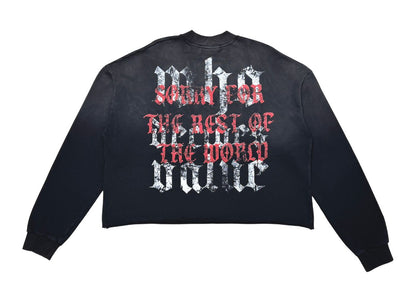 America Cropped Sweater